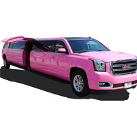 Портфолио EXOTIC LIMO LLC
